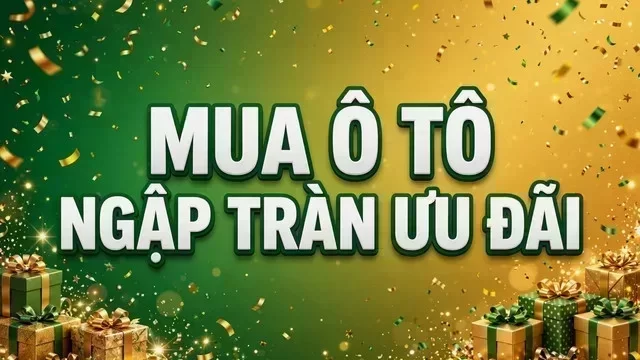 Địa điểm hỗ trợ xem xe tại Sài Gòn